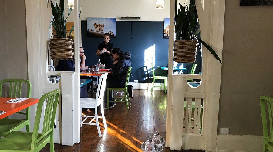 Inside Dahab Cafe — green cafe chairs, timber and pot plants in the front room